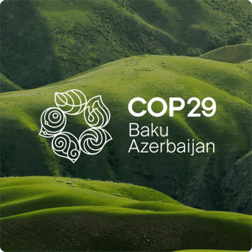 COP-29_Dec_Nyhetsbrev_400x400px