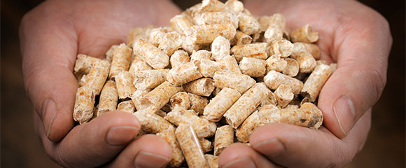 Hållbarhetskriterier för bioenergi