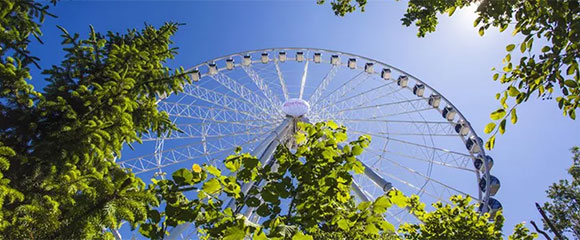 Snurr på Lisebergs hållbarhetsarbete