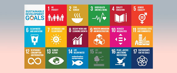 Standarder kopplar till hållbarhet