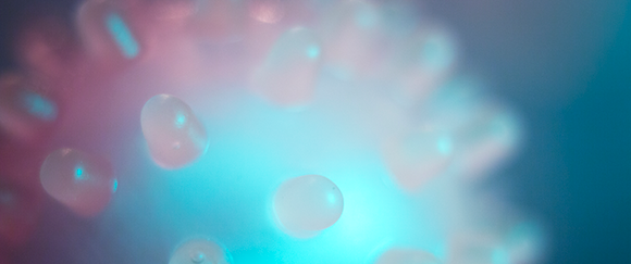 SIS Nyhetsbrev oktober 2021