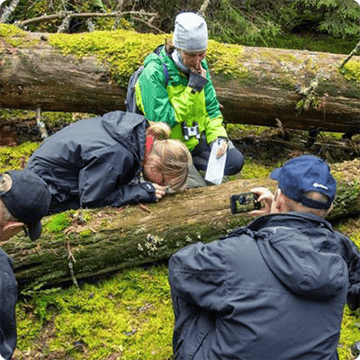 SIS_nyhetsbrev_feb2026_Biologisk-mångfald